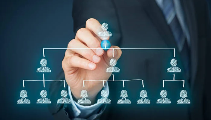 Decide the Business Structure